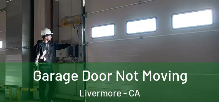  Garage Door Not Moving Livermore - CA