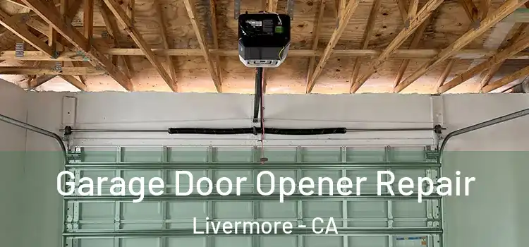  Garage Door Opener Repair Livermore - CA