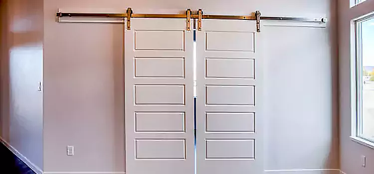 Glass Barn Door with Installation Hardware Kit Livermore