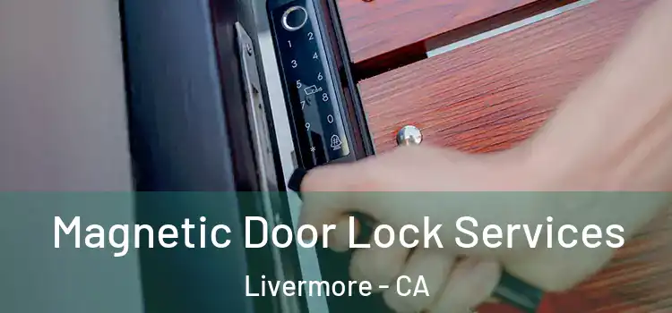 Magnetic Door Lock Services Livermore - CA